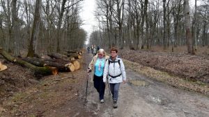 Grande marche du vendredi 10 mars 2017 à Seichebrière