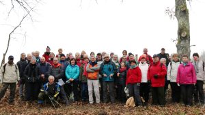 Grande marche du vendredi 11 janvier 2019 à Ménestreau-en-Villette